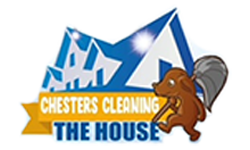 Chesters Cleaning the House